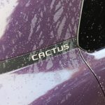 Citroen C4 Cactus 2018